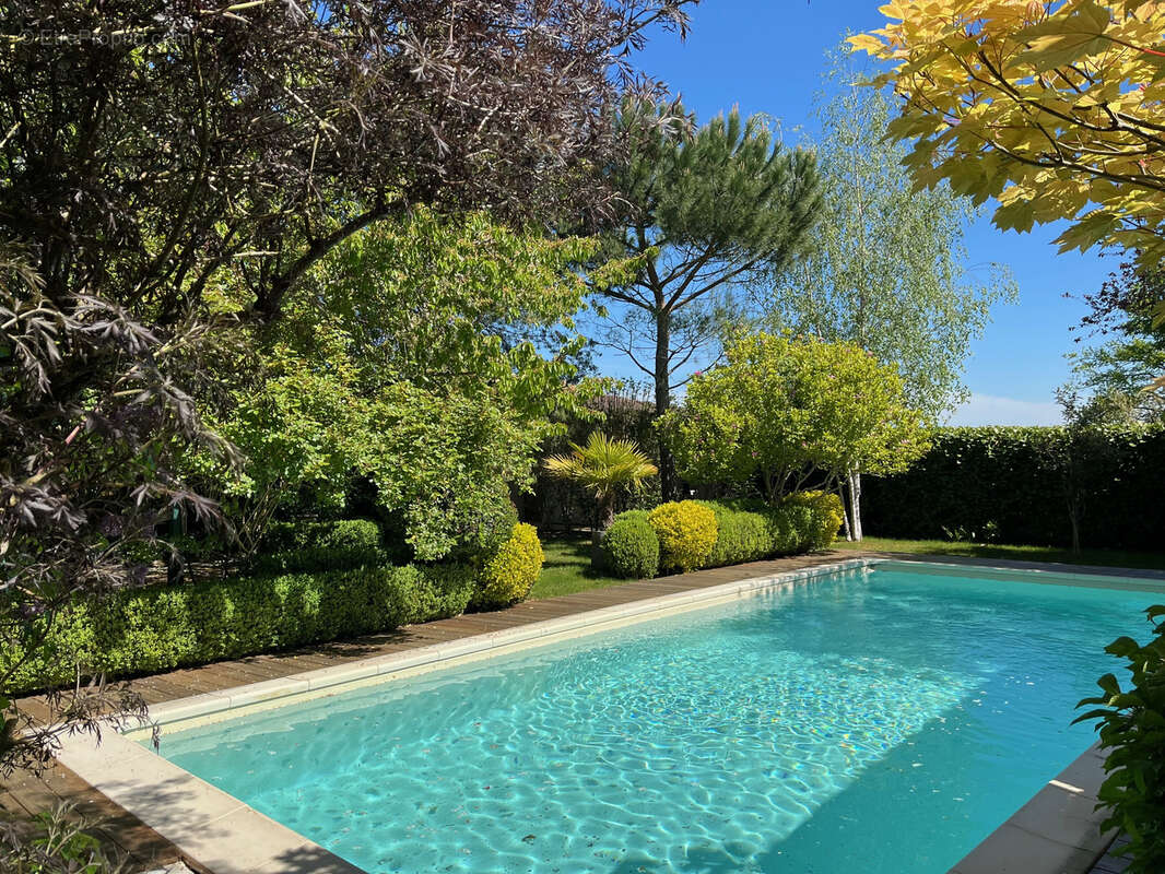 Marly les hameaux du bois villa d'architecte de 240 m2 avec piscine - photo 4