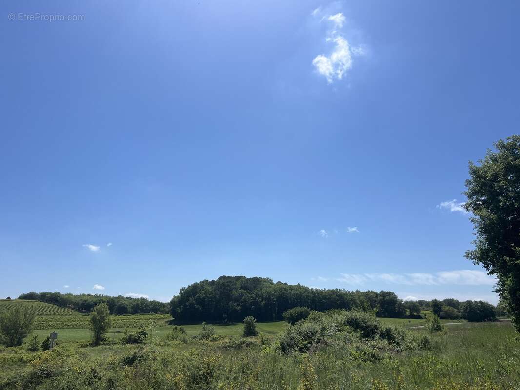 Terrain à SAINT-MAURICE-DE-CAZEVIEILLE