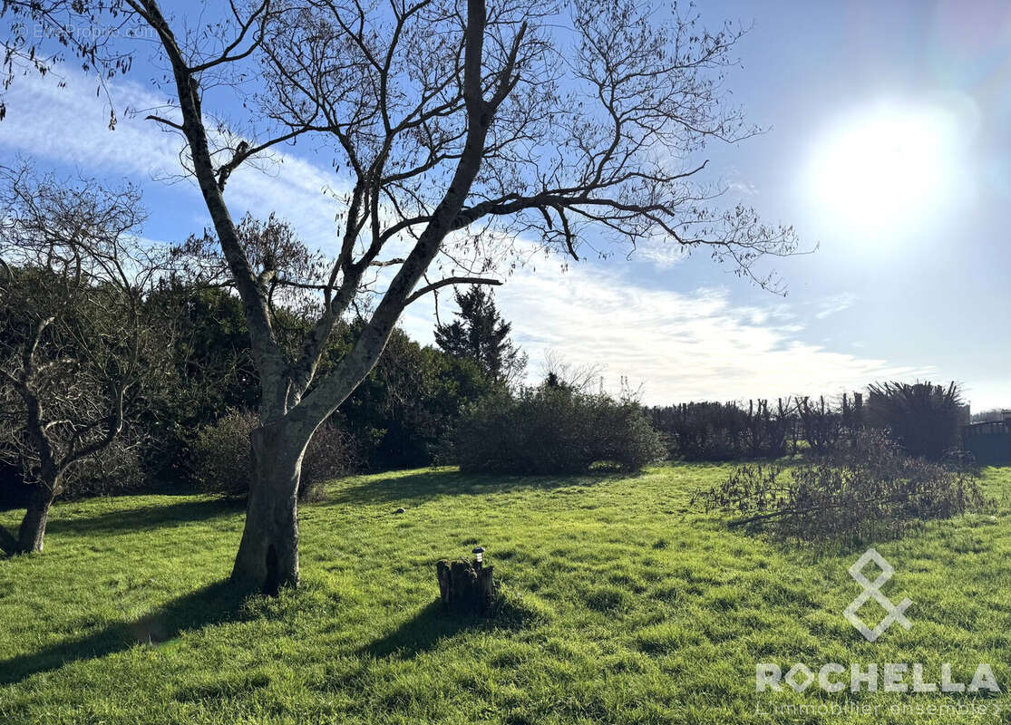Maison à SAINT-AGNANT
