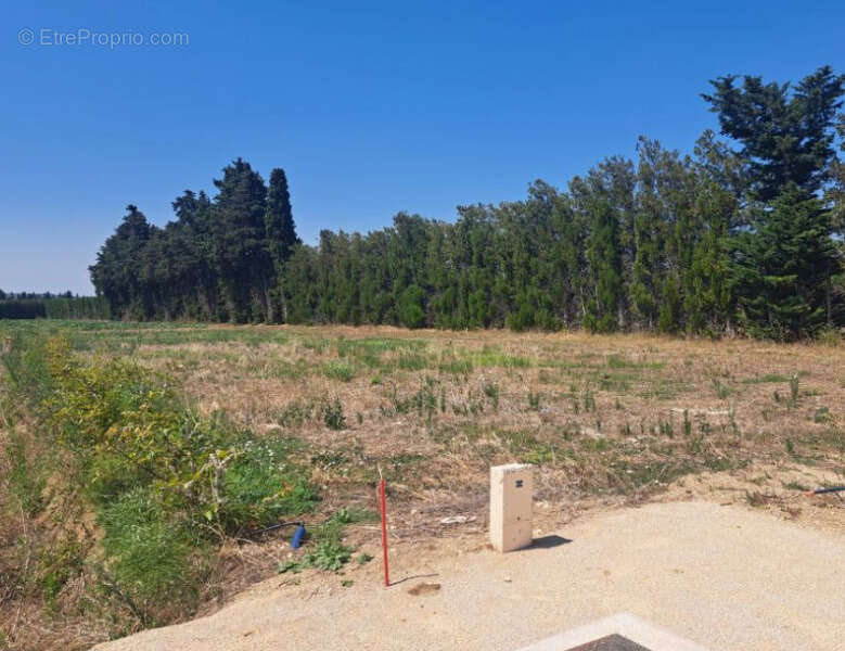 Photo 2 - Terrain à L&#039;ISLE-SUR-LA-SORGUE