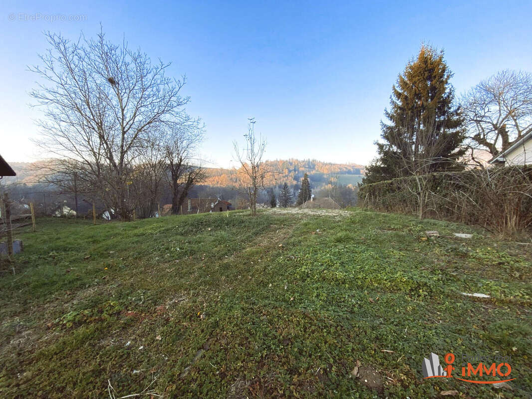 Terrain à LEPIN-LE-LAC