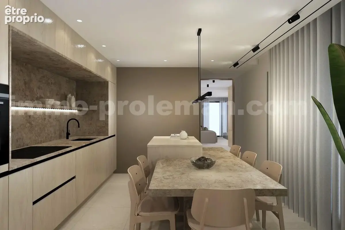Appartement_T4_DOUVAINE_HYPER-CENTRE_CEVA_frontière_SUISSE_Geneve_IMMOBILLIER_DOUVAINE_cuisine