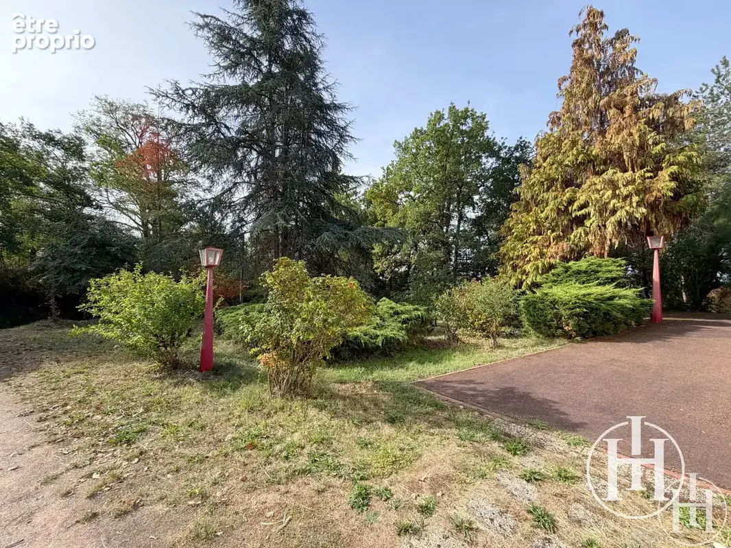 À saisir : deux pas de la forêt de tronçais   maison familiale avec sous-sol sur plus de 3 000 m2 de terrain ! - photo 11
