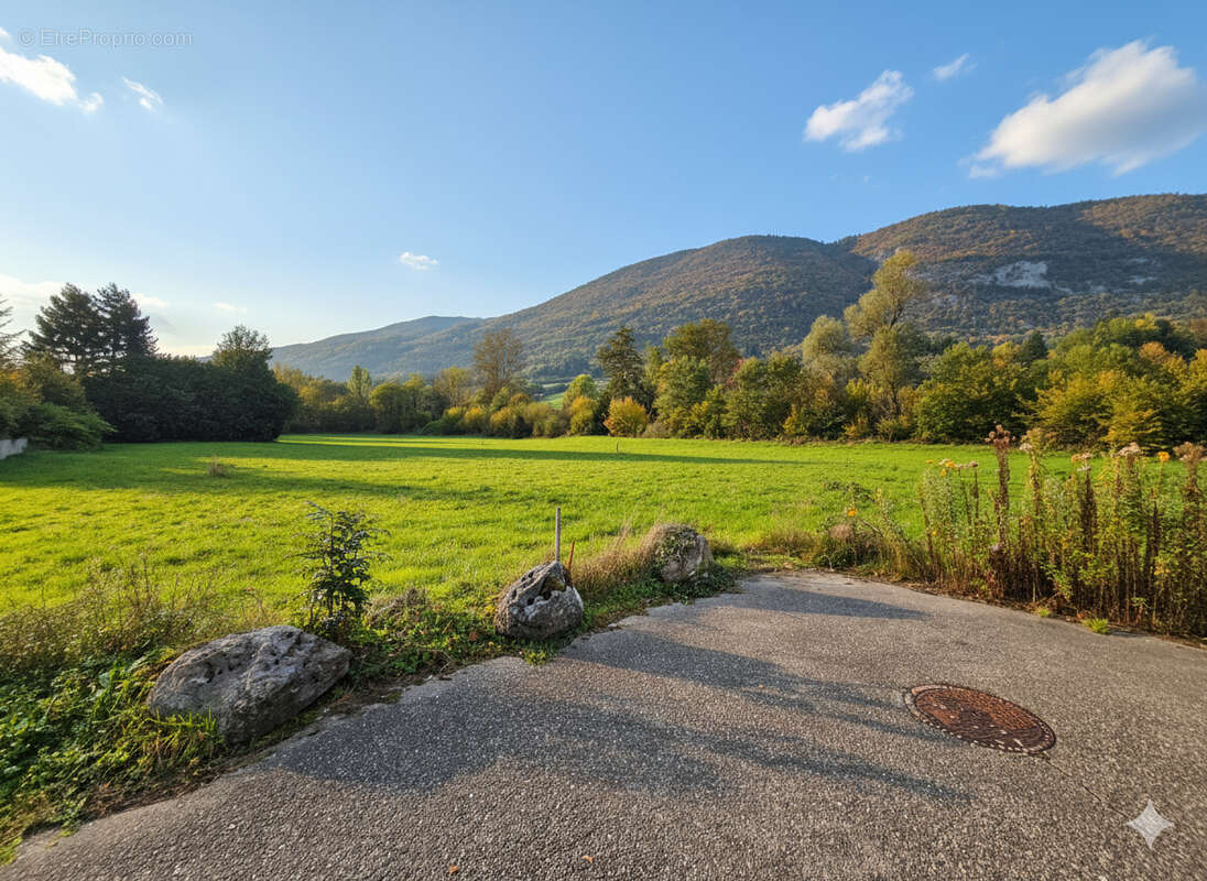 Terrain à SAINT-THIBAUD-DE-COUZ
