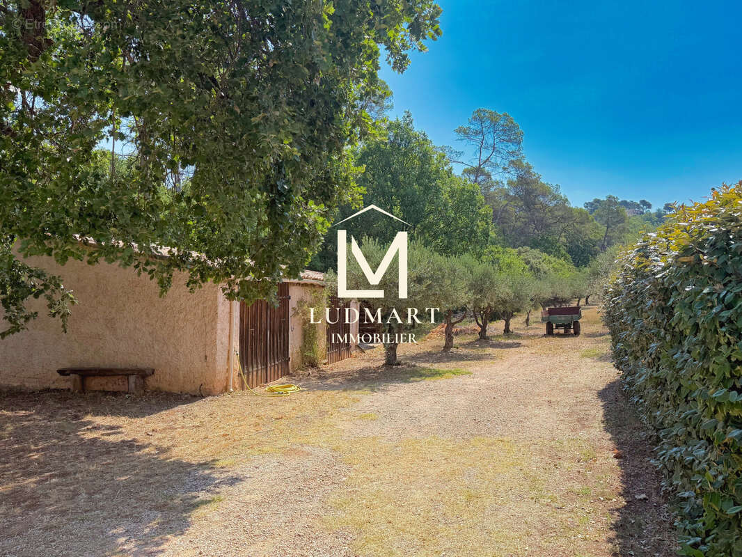 Lorgues   Domaine provençal de 11 hectares avec deux maisons indépendantes, deux piscines, vignoble AOP et oliveraie - photo 15
