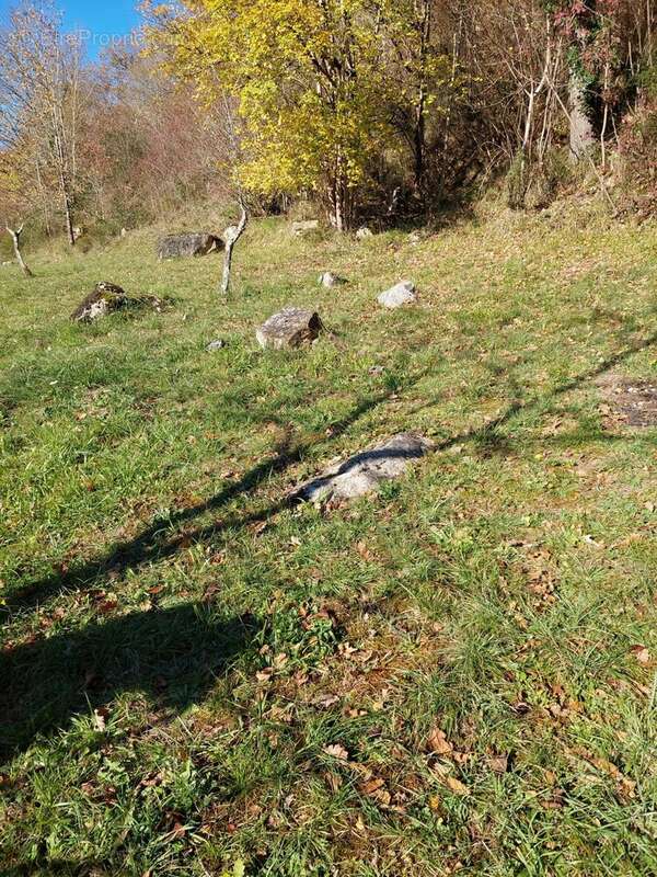 Maison à LE MAS-D&#039;AZIL