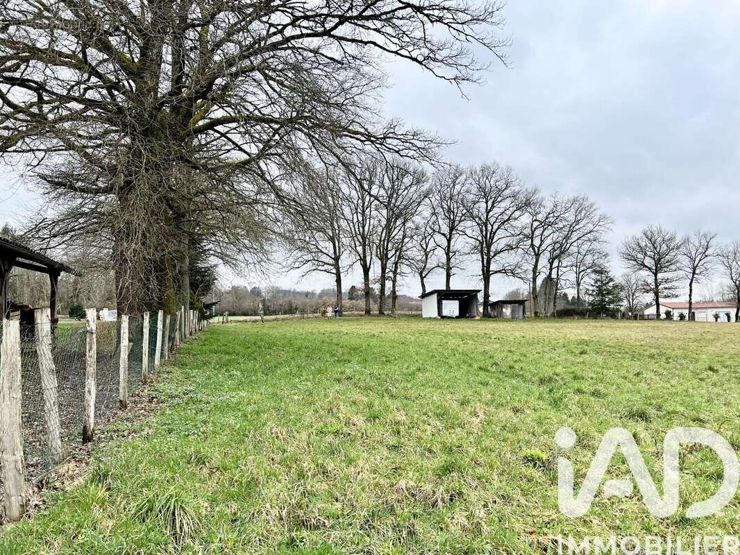 Photo 2 - Terrain à CHAMPSAC