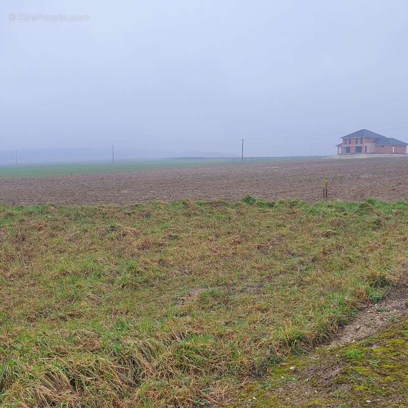 Terrain à HAUTE-AVESNES