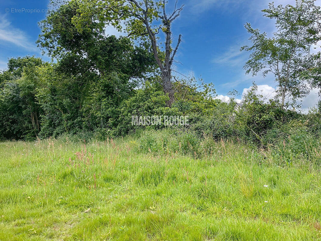 Terrain à SAINT-BRIAC-SUR-MER