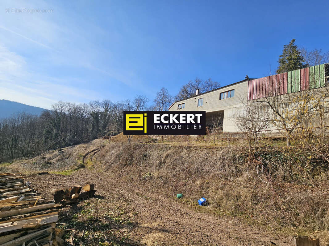 Terrain à HEILIGENBERG