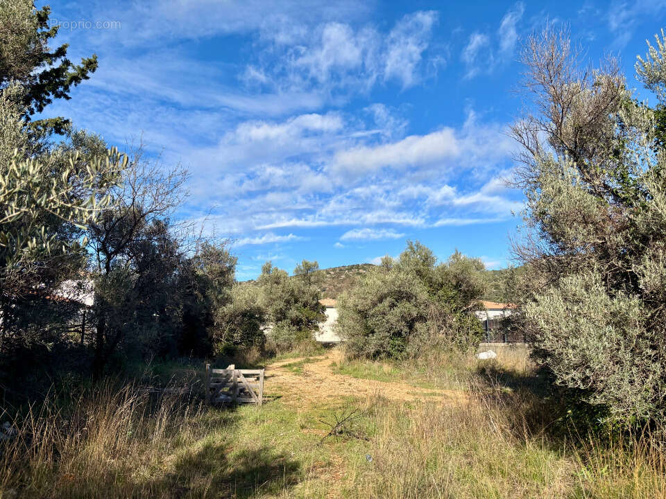 Terrain à SAINT-JEAN-DE-FOS