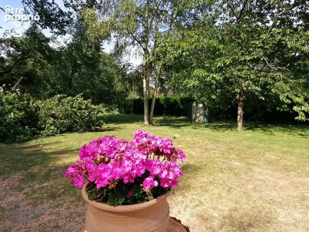 Pavillon individuelle 164 m2 Hab/Jardin et Pâture 3114 m2 - photo 20