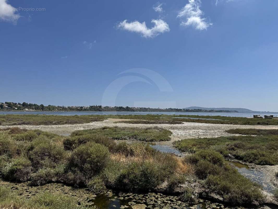 Un petit paradis rare au bord de l'étang de thau - photo 16