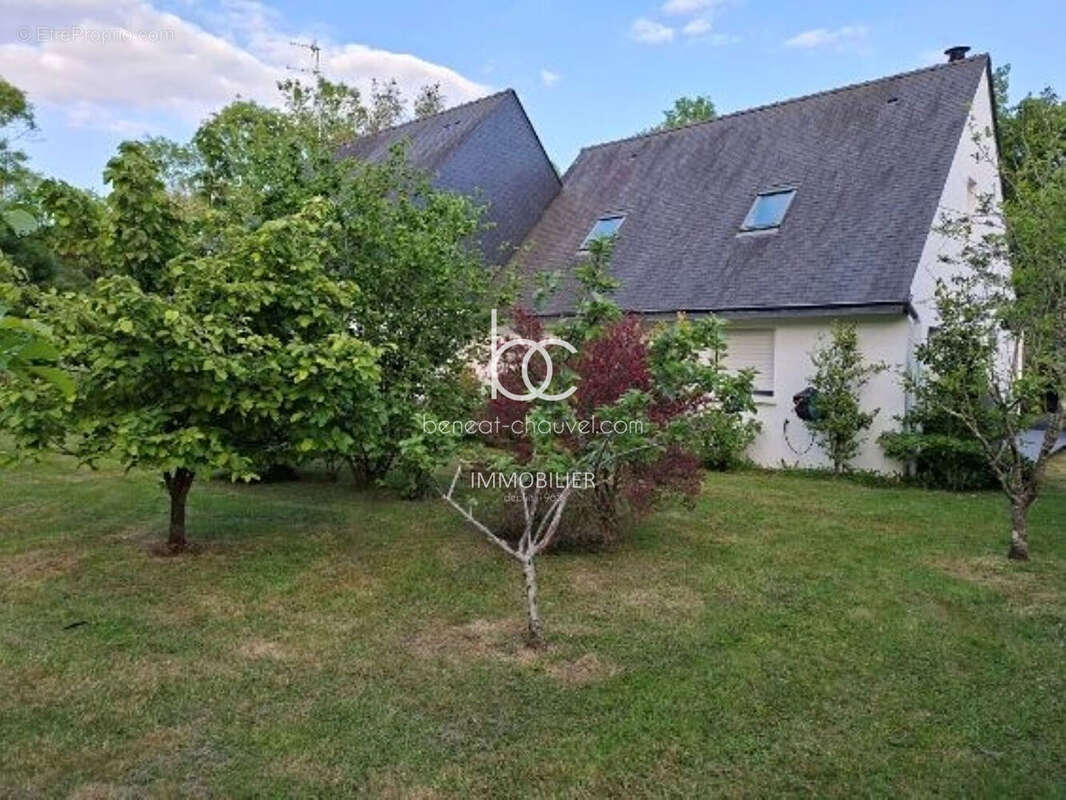 Île-aux-Moines Maison d'architecte dans écrin arboré - photo 17