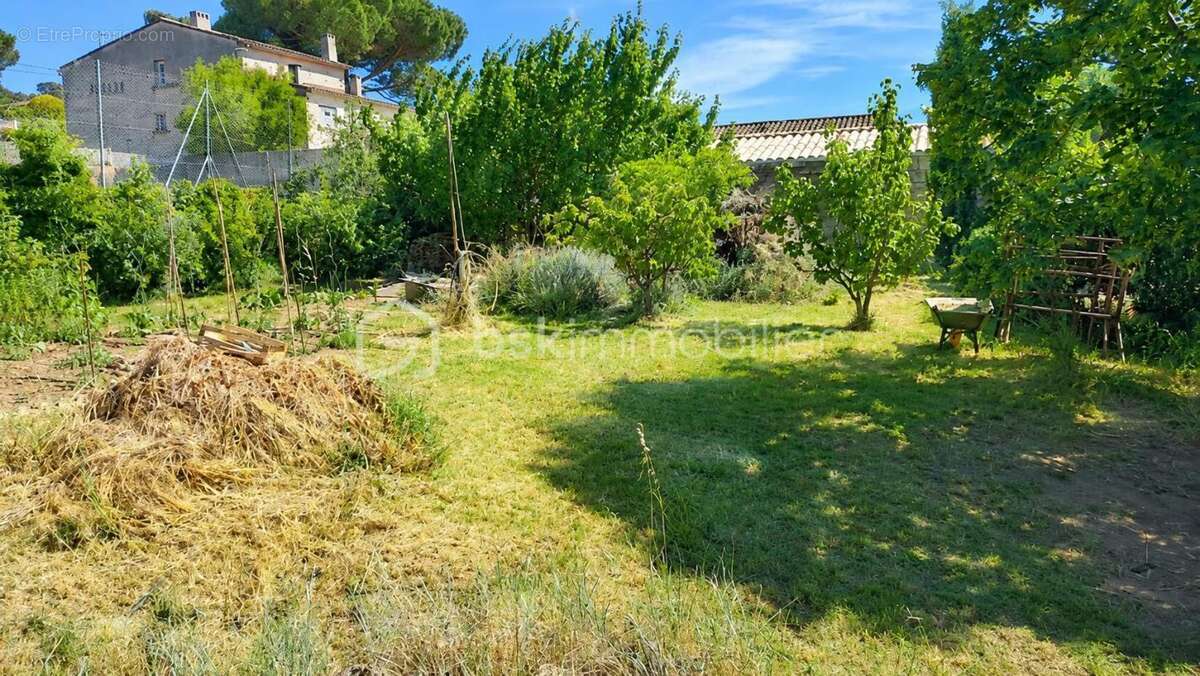 Terrain Constructible - photo 2