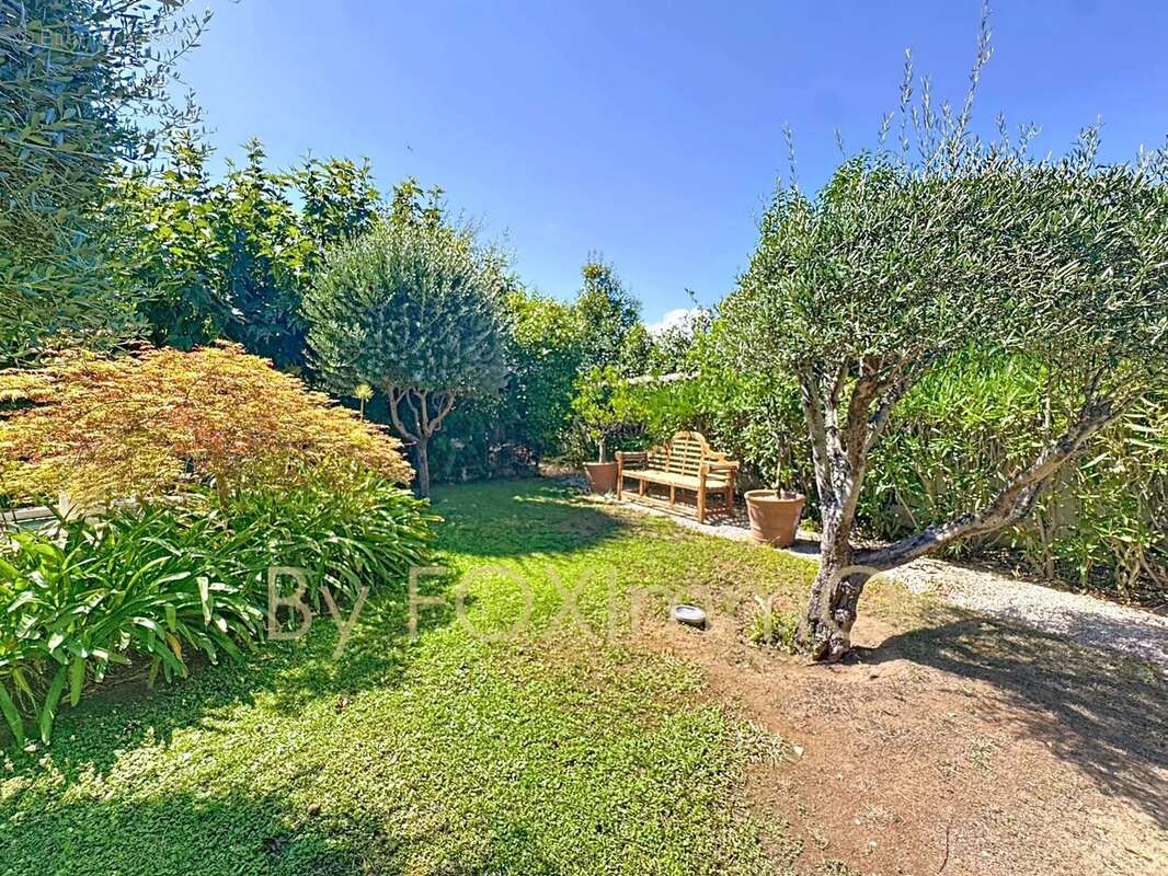 Villa de caractere vue panoramique sur Saint-Paul-de-Vence – 370 m² , piscine, terrain 2000m2, calme - photo 7