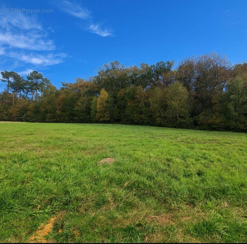 Terrain à TERRASSON-LAVILLEDIEU