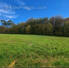 Terrain à TERRASSON-LAVILLEDIEU