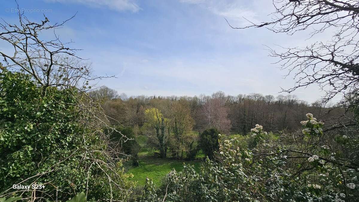 Maison à CELLES-SUR-BELLE