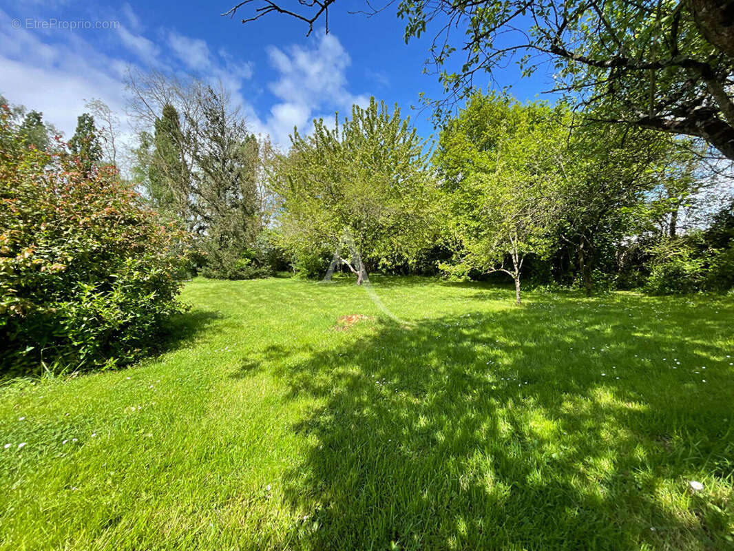Terrain à VERN-D&#039;ANJOU