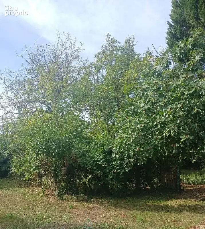Maison familiale avec piscine - photo 4