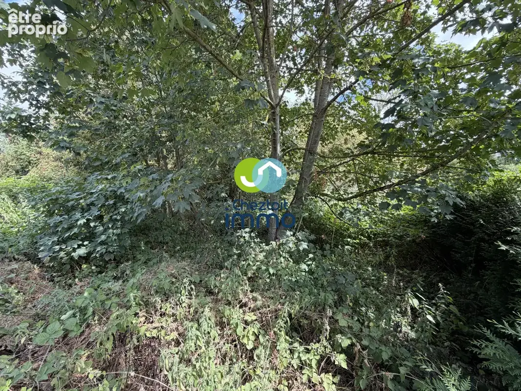Terrain constructible de 2215 m2 - photo 3