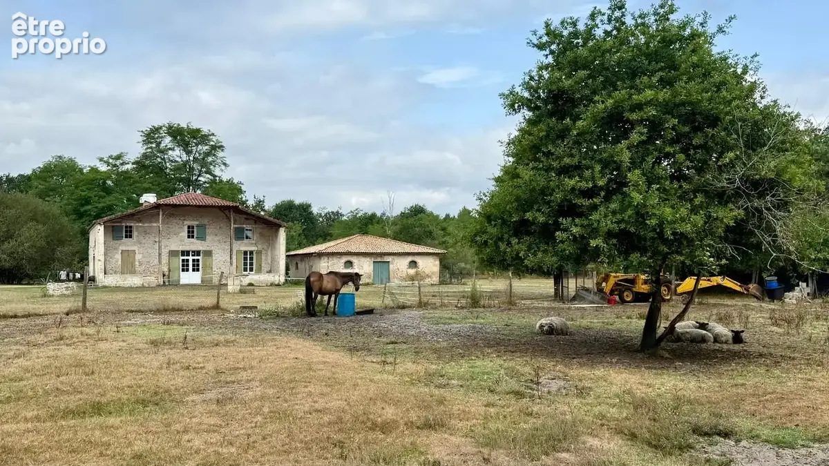Maison 258 m² à Cazalis  - photo 3