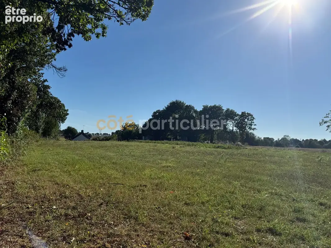 Maison en pierre Saint James 111.48 m2, 3 chambres, terrain 6040m2 - photo 15