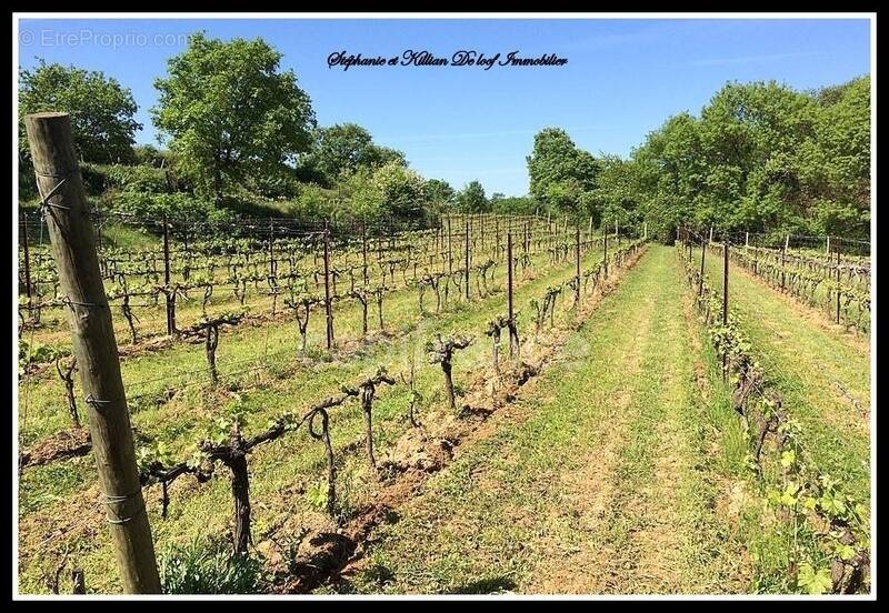 Terrain à ALIGNAN-DU-VENT