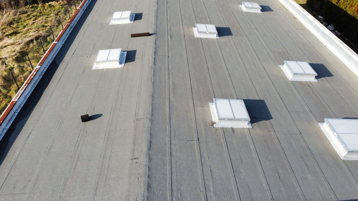 Commerce à LA RICAMARIE