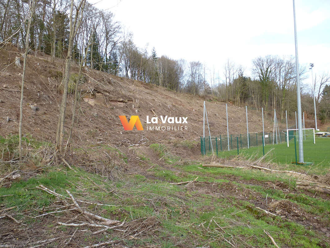 Terrain à RAON-L'ETAPE