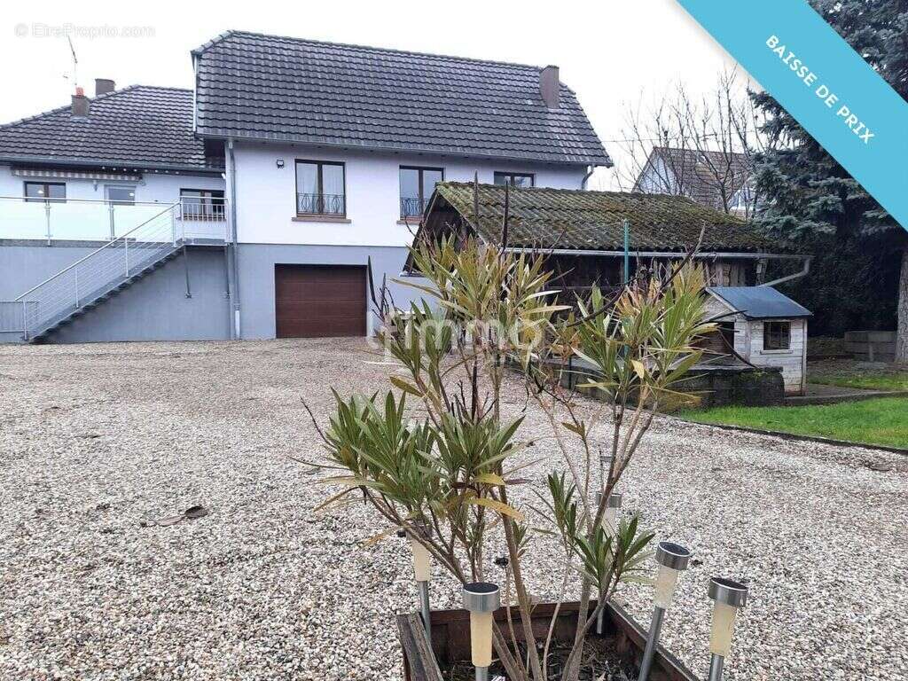 Maison plain pied de 211m² sur terrain de 10,9 ares - photo 2