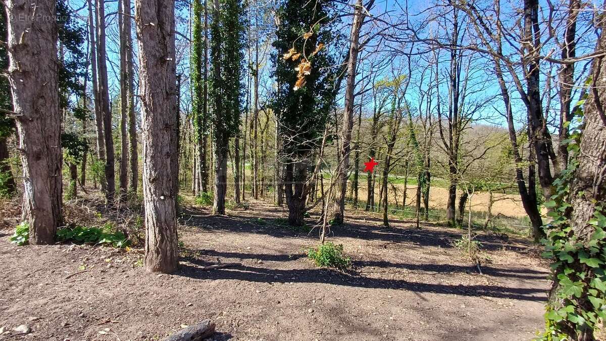 Terrain à CABANES
