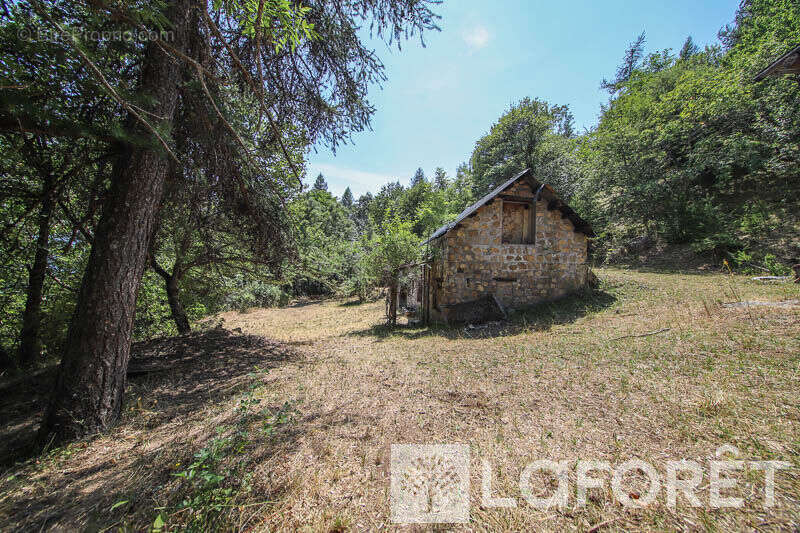 **muande + 7200 m² de terrain - embrun - photo 3