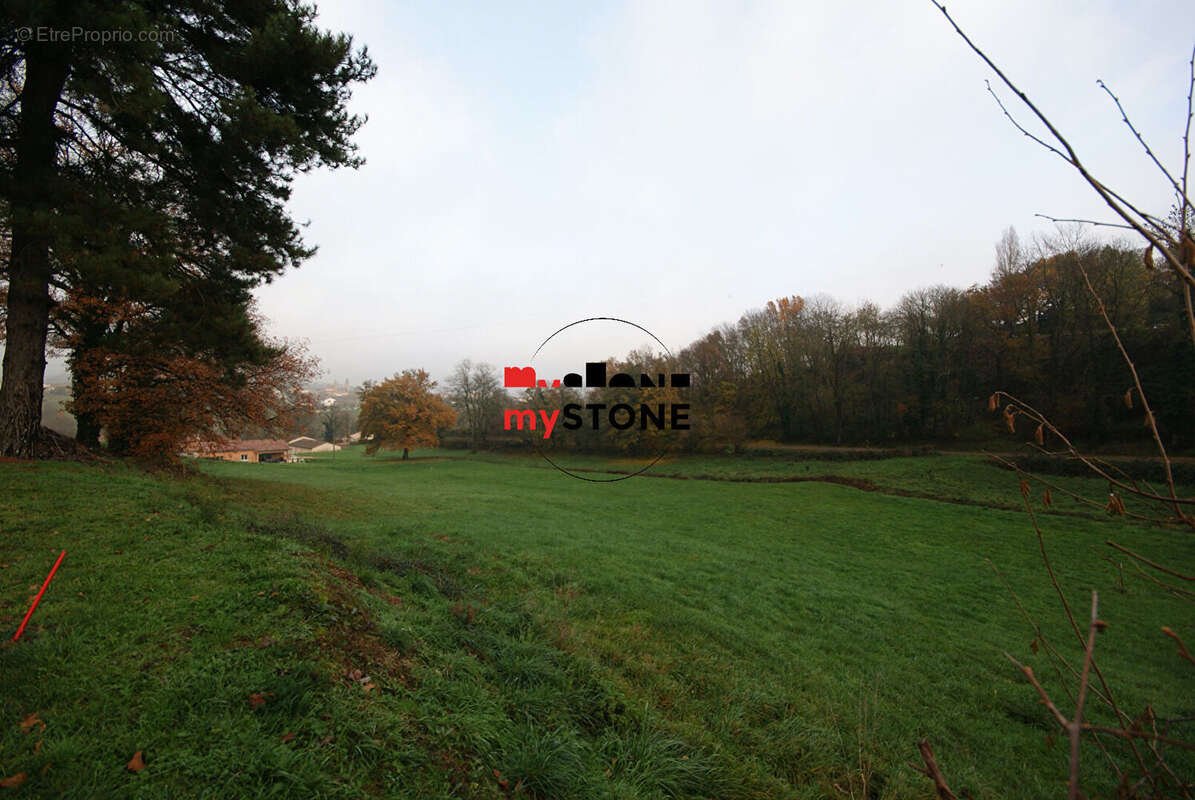 Terrain à SAINT-AMOUR-BELLEVUE