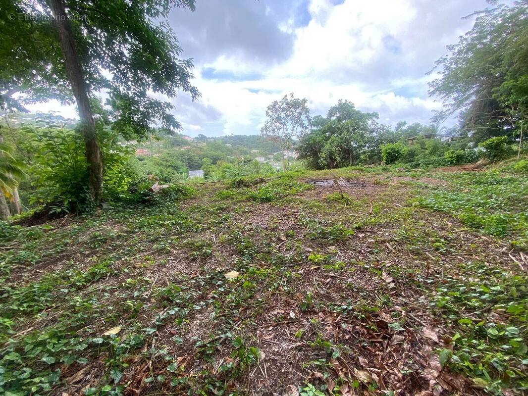 Terrain vue mer - 2479 m² - la trinite - photo 2