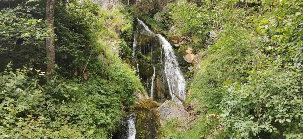 Terrain à ABONDANCE