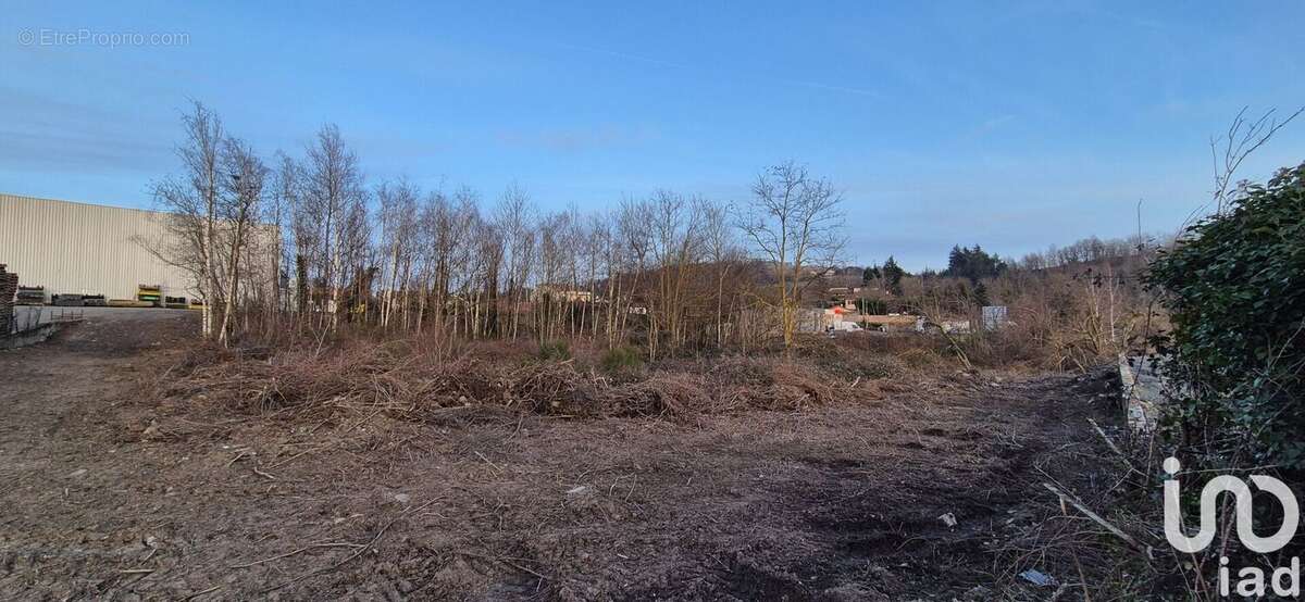 Photo 3 - Terrain à ROCHE-LA-MOLIERE