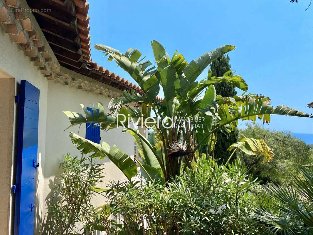 Maison à LA CROIX-VALMER