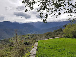 Terrain à PRUNELLI-DI-FIUMORBO
