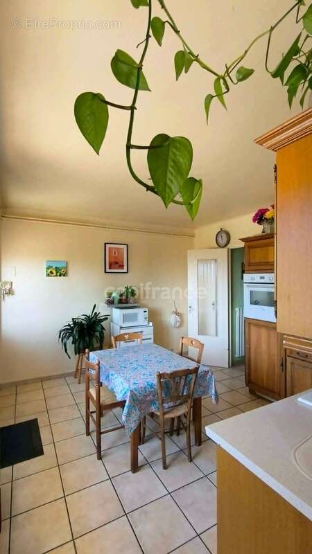 Chambéry-le-Vieux – Vue montagnes, grand jardin et maison aux multiples possibilités ! - photo 4