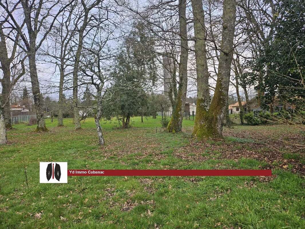 Maison landaise garage dépendances sur  plus de 5200 m² - photo 6