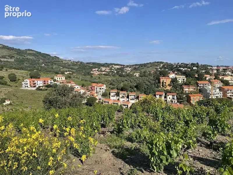 Terrain 24 000 m² à vendre à Collioure (66190) - photo 2