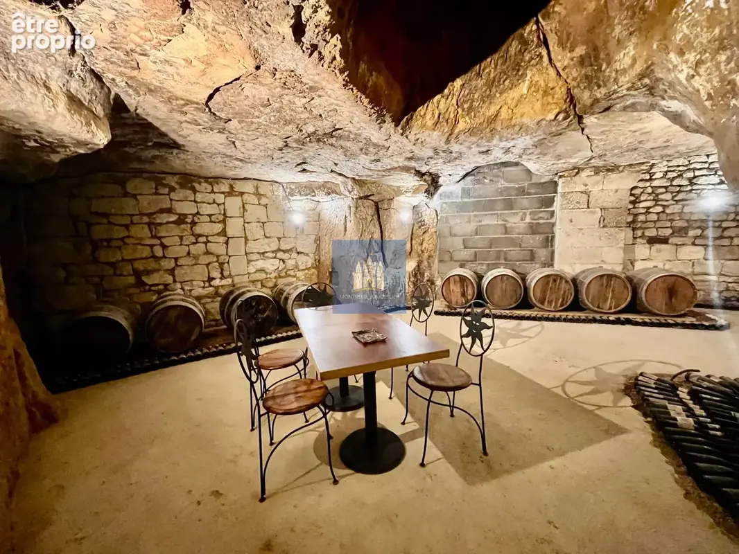 Pouançay (86) propriété de charme coeur village (5 ch) avec  grandes caves troglo - photo 30