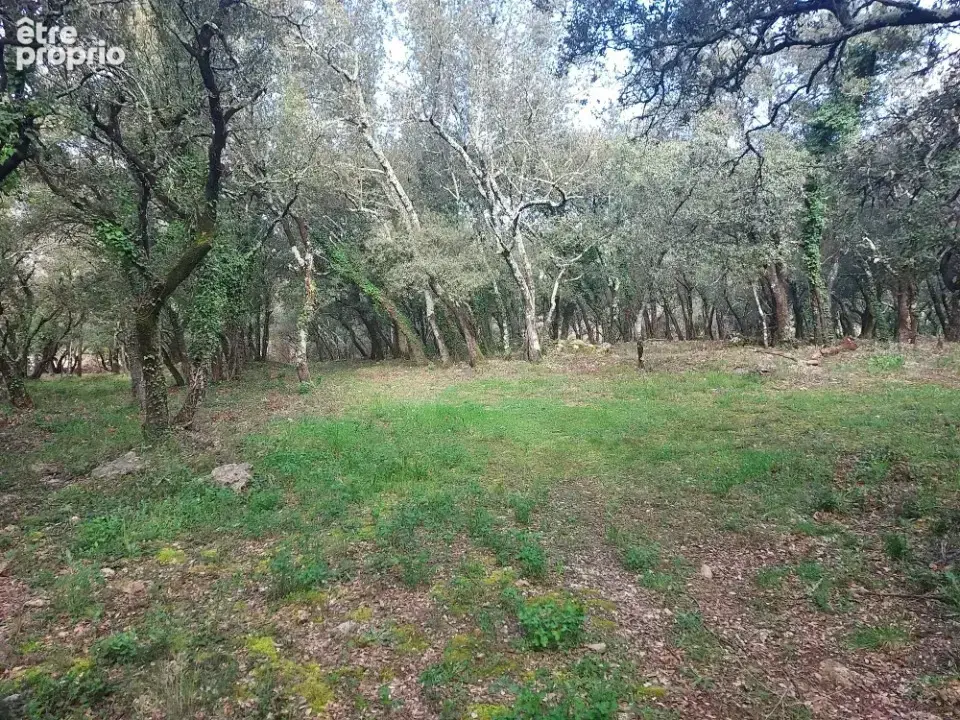 Terrain 967 m² à vendre à Sainte-Anastasie-Sur-Issole (83136) - photo 2