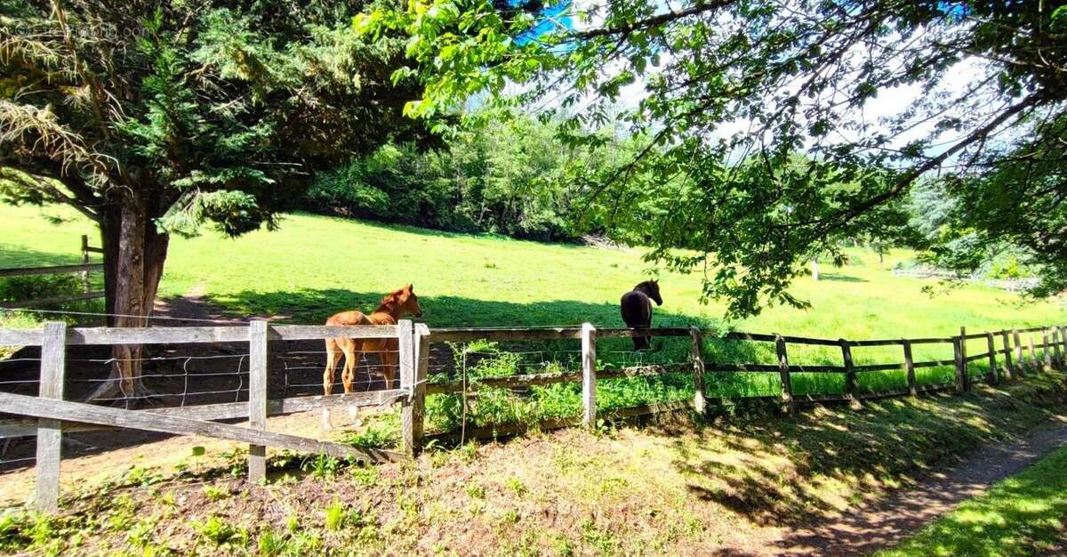 Maison à LIVINHAC-LE-HAUT