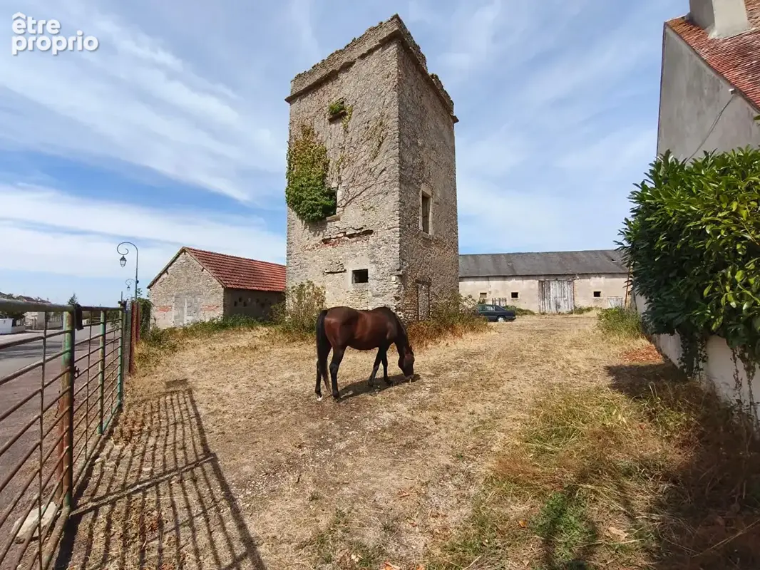 A SAINT-PIERRE-LE-MOUTIER (58240) Fermette avec 2 hectares - photo 12