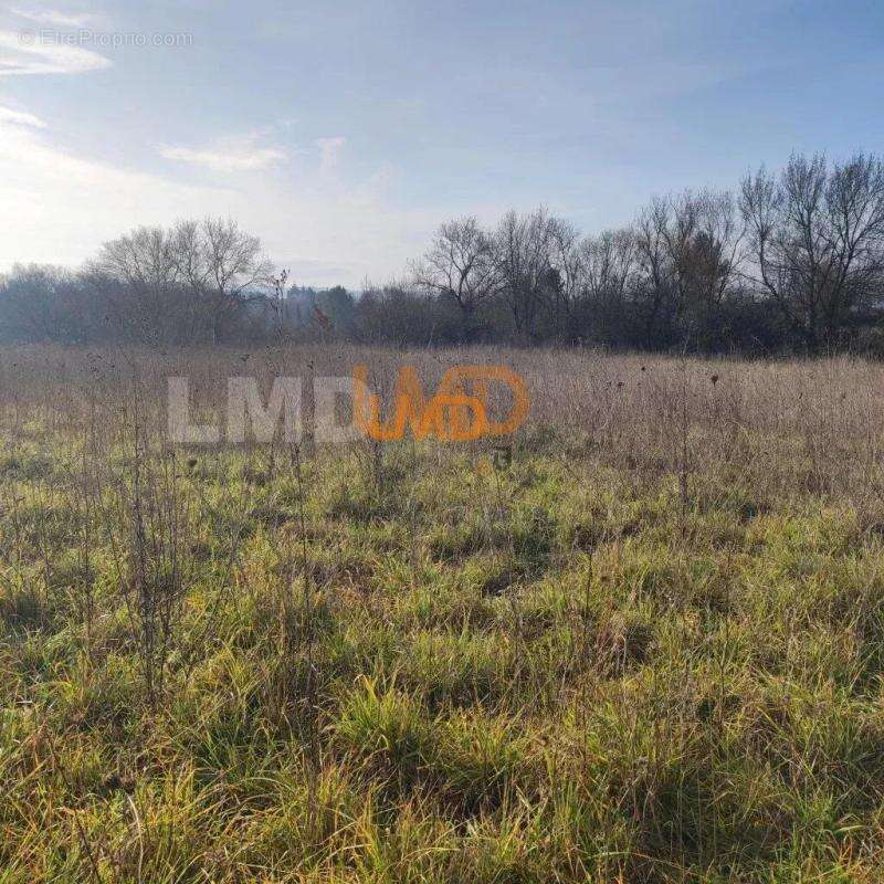 Terrain à AIGREMONT