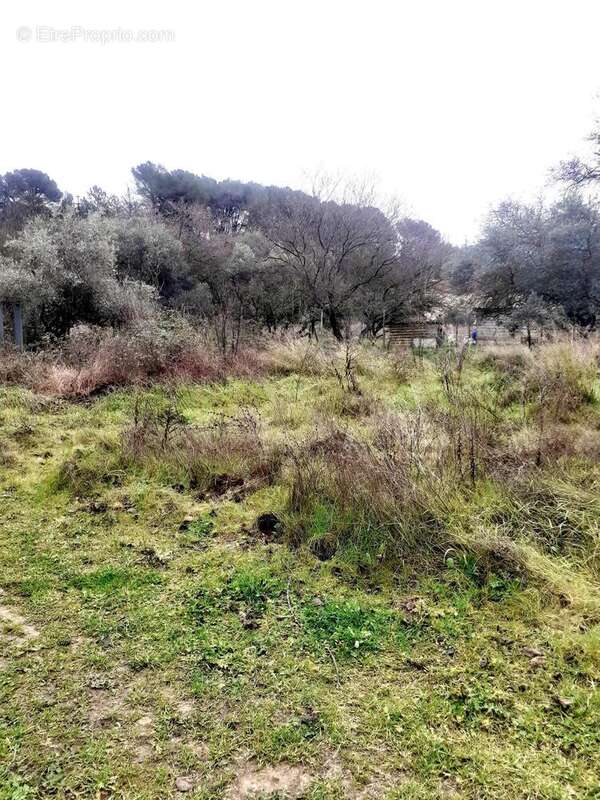 Photo 2 - Terrain à PEYPIN