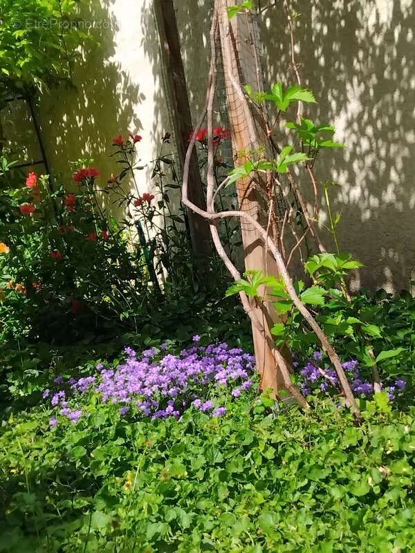 Appartement à MONTREUIL